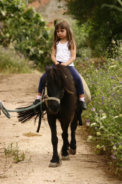 Верховая езда