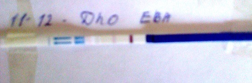 тестомания продолжается!(11-12 дпо)