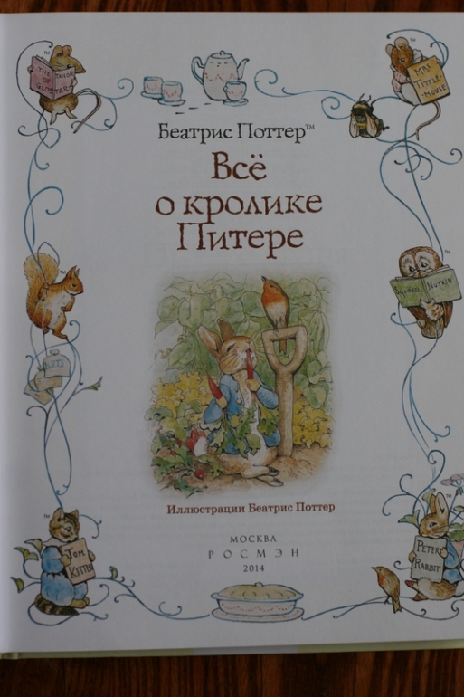 Теперь и у меня есть Кролик