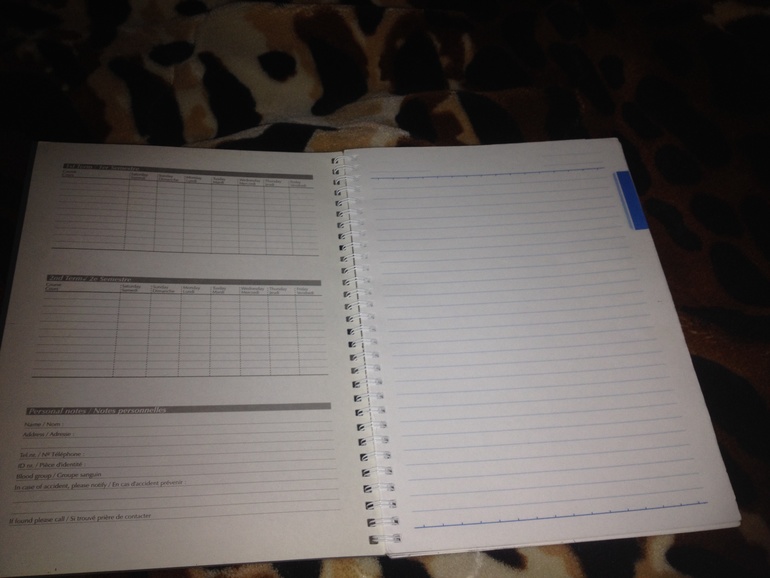 Взлет 72 день 4