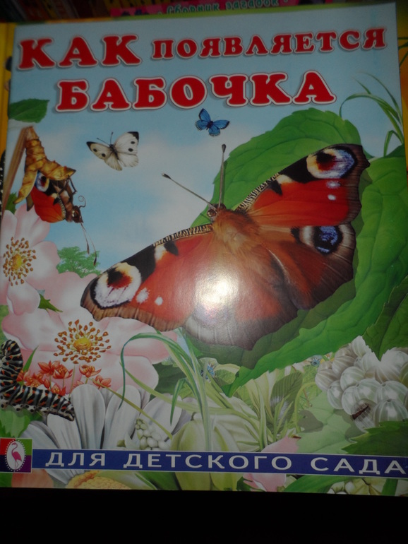 Прогулка Бабочки-красавицы 2.5