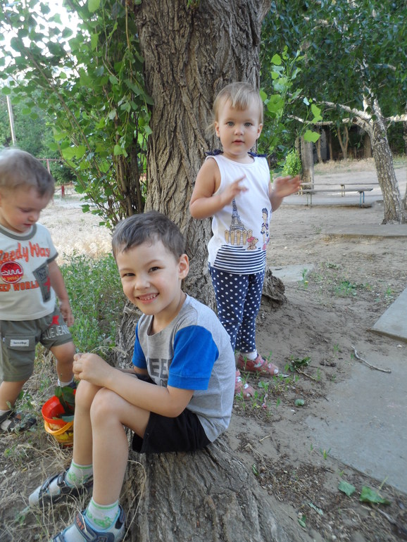 ТЗ Деревья, 2.5