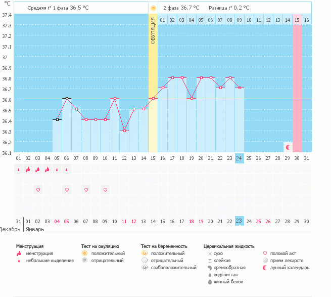 Посмотрите график,пожалуйста! что скажете?правильно О поставила программа и была ли она?