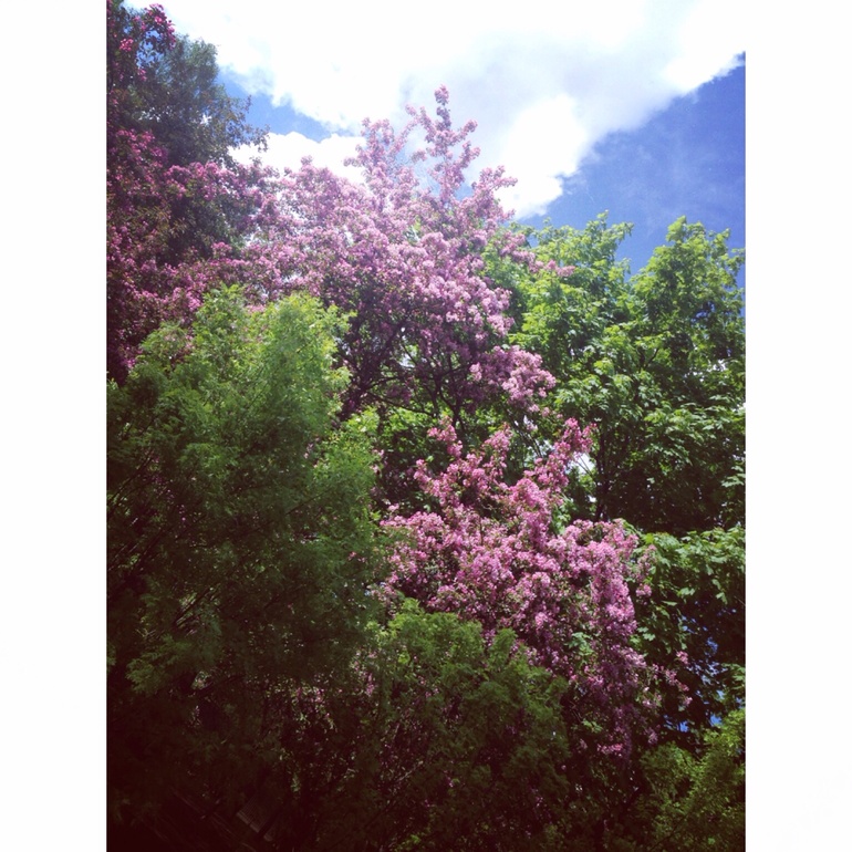 32 недели. Фото и миниотчет :)