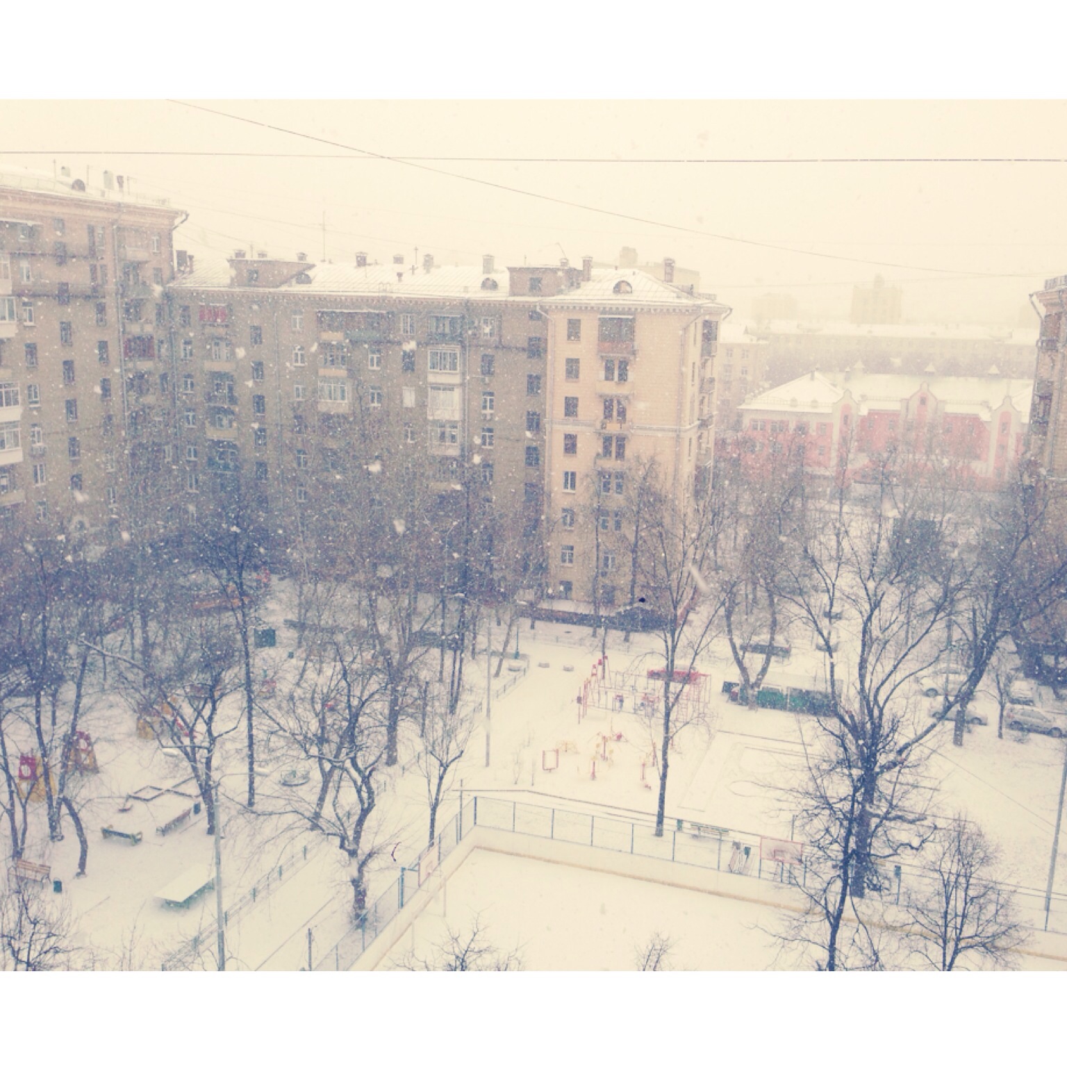 23. Наша дюймовочка растёт :)