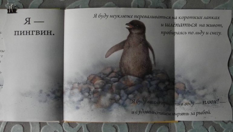 Кто спрятался? Иллюстрации Гая Троутона.