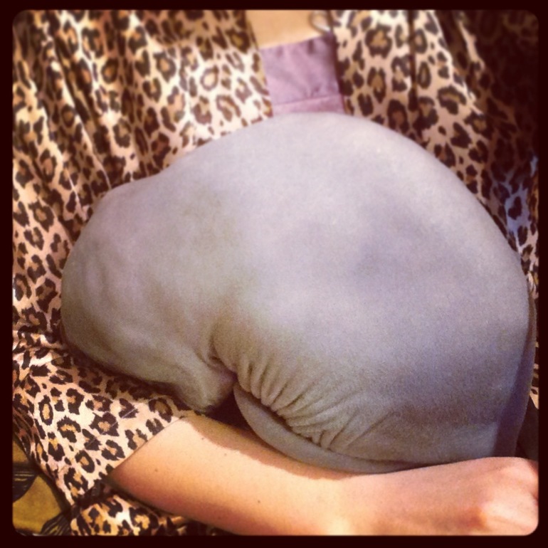 Про моих зверят)