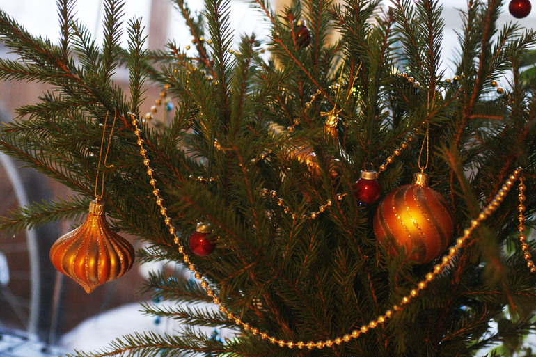 It's Christmas Time