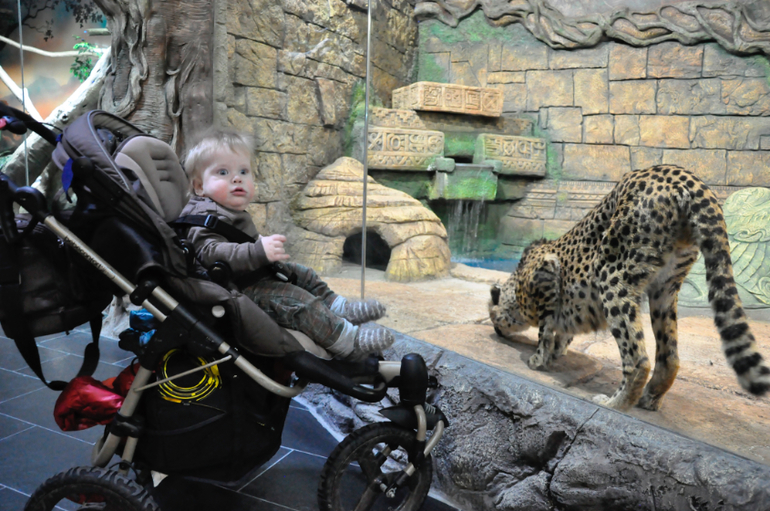 Сходили в океанариум в РИО