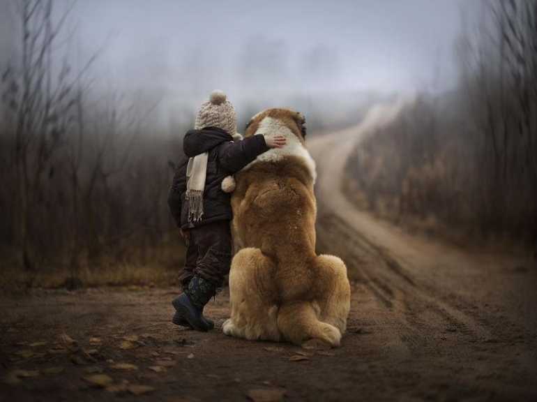 очень красивые фотографии
