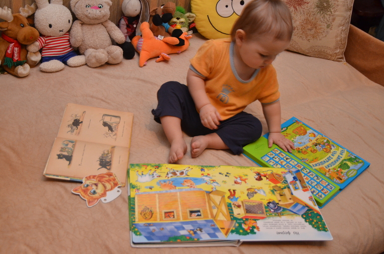 Отчет по ФМ "Домашние любимцы" - День 2 "Котята"