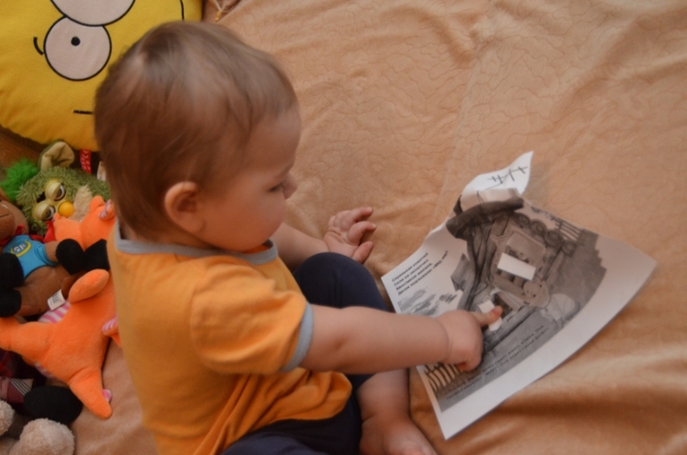 Отчет по ФМ "Домашние любимцы" - День 2 "Котята"