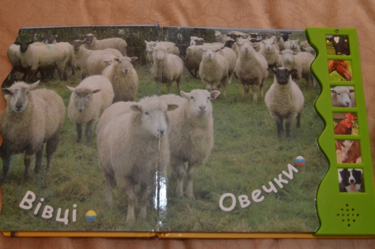 Наша библиотека в 1 год и 1 месяц