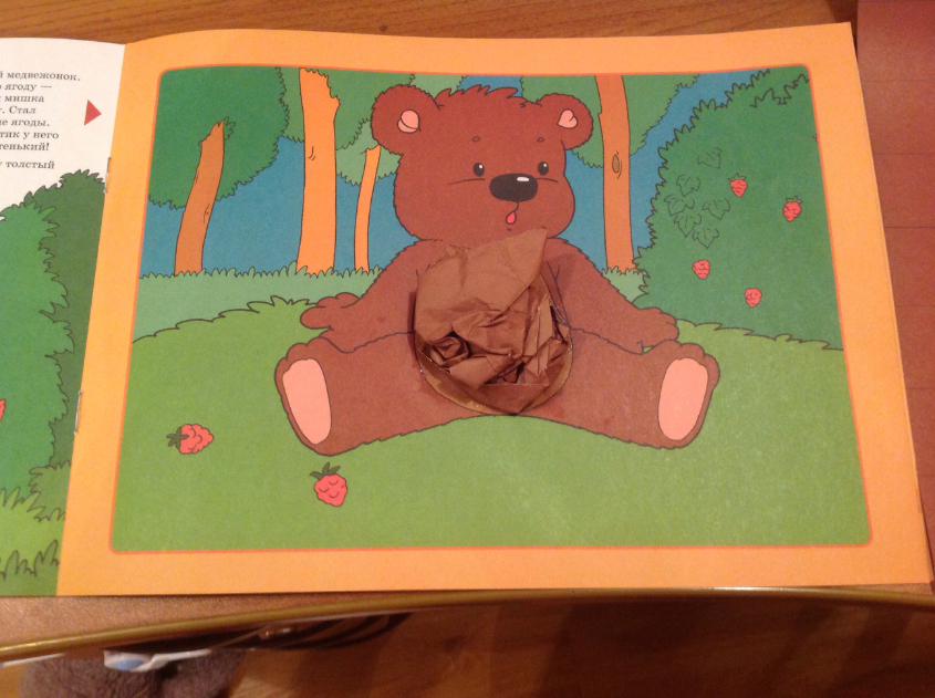 ТН "Лесные друзья". День второй. Медведь.