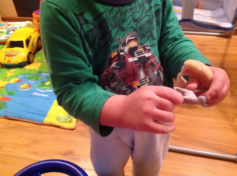 ФМ "Домашние животные". День третий. Кошка.