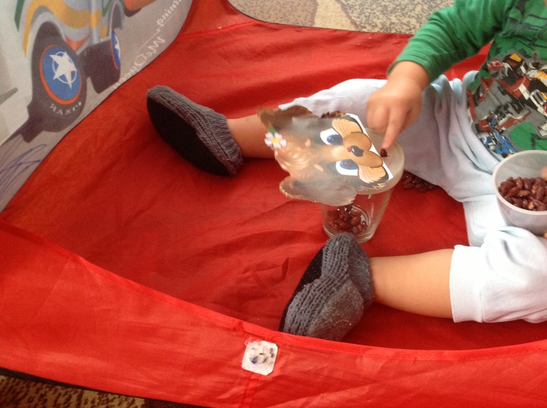 ФМ "Домашние животные". День первый.