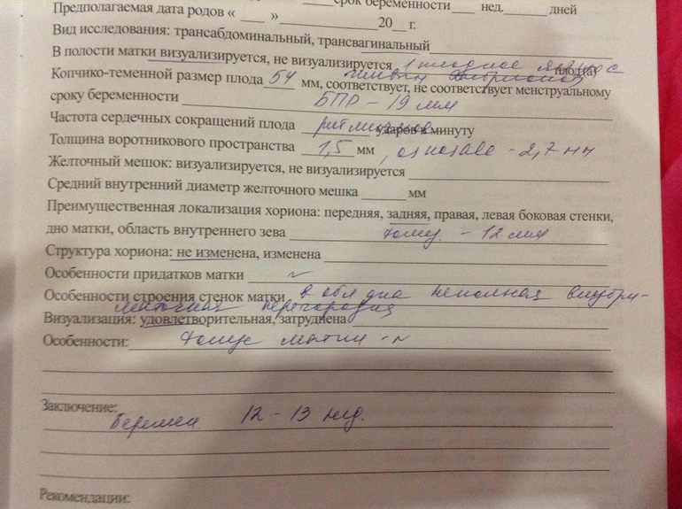 Первый скрининг, УЗИ