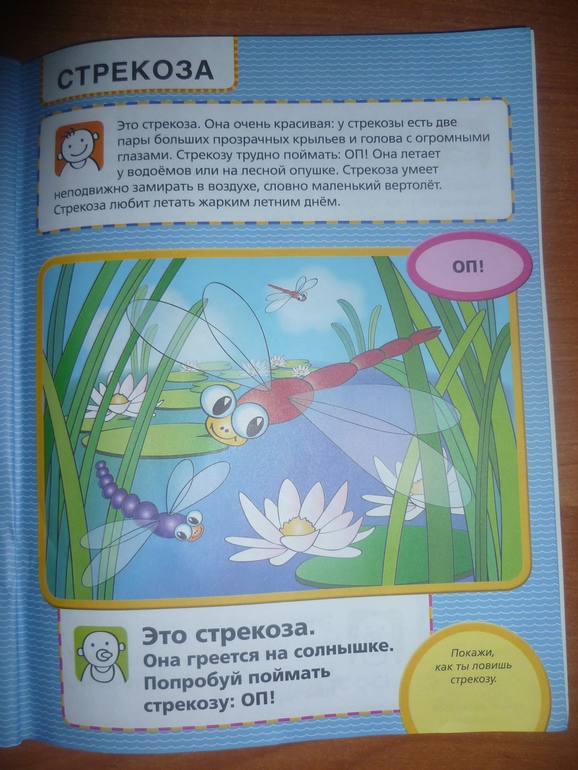 ТН Насекомые