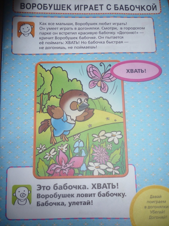 ТН Насекомые