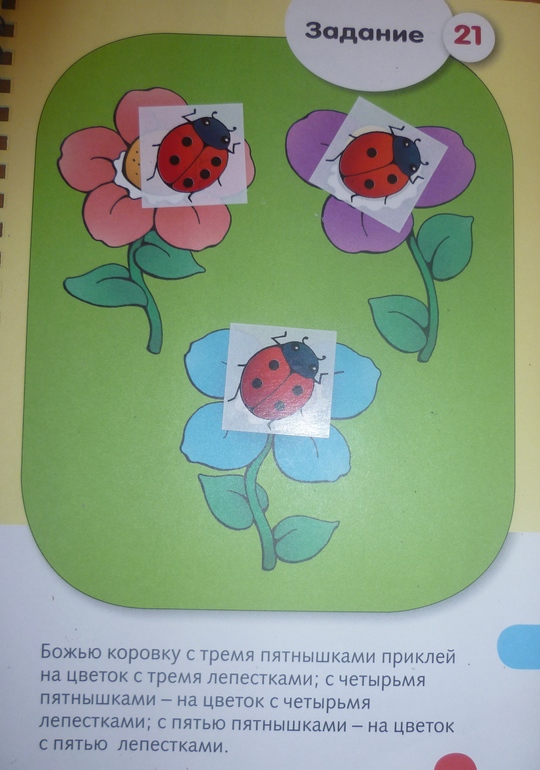ТН Насекомые