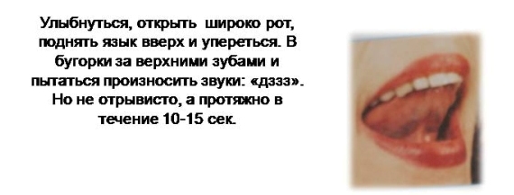 ТН Насекомые