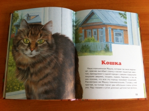 Наша декабрьская стопочка