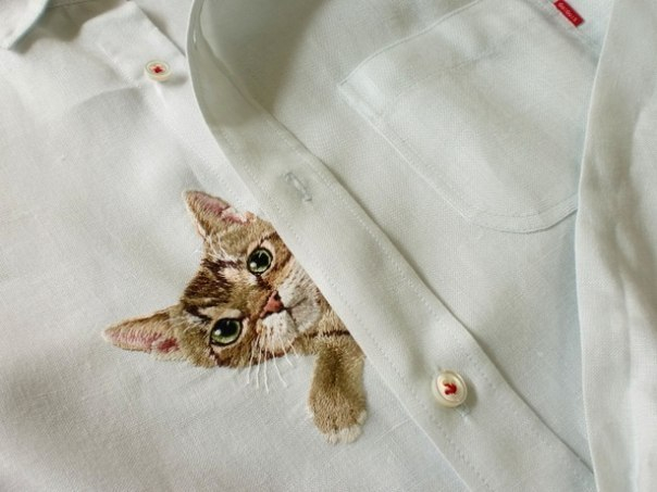 Котики в кармашках