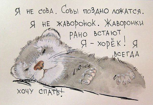 Про меня ))))
