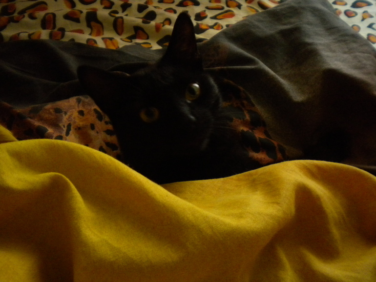 Наши 35 неделек и 4 дня