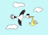 Аисты на удачу))))))))