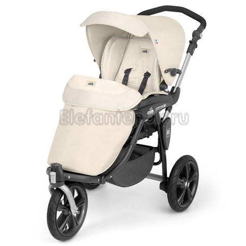 Выбор прогулки