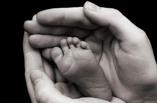 Доза умиления))))