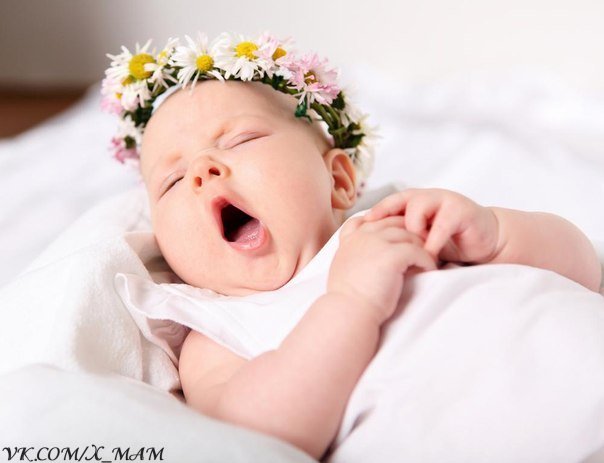 Доза умиления))))