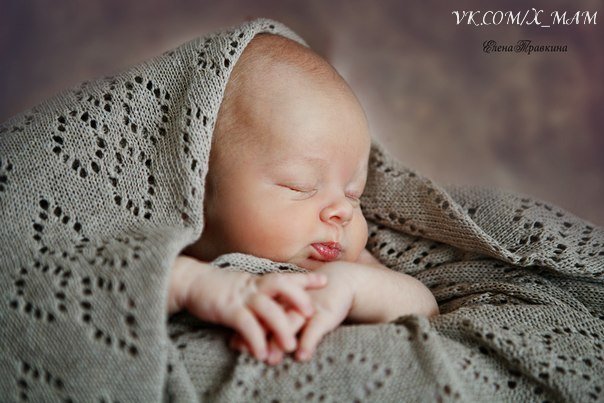 Доза умиления))))