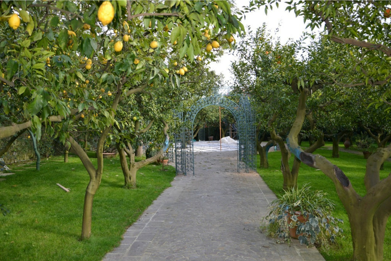 Стройка полным ходом)