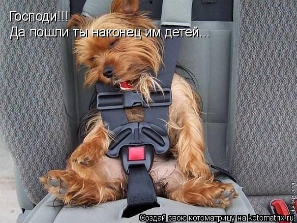 Сукааа)))) это про нашу семью)))