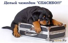 Хочу выразить огромную благодарность!