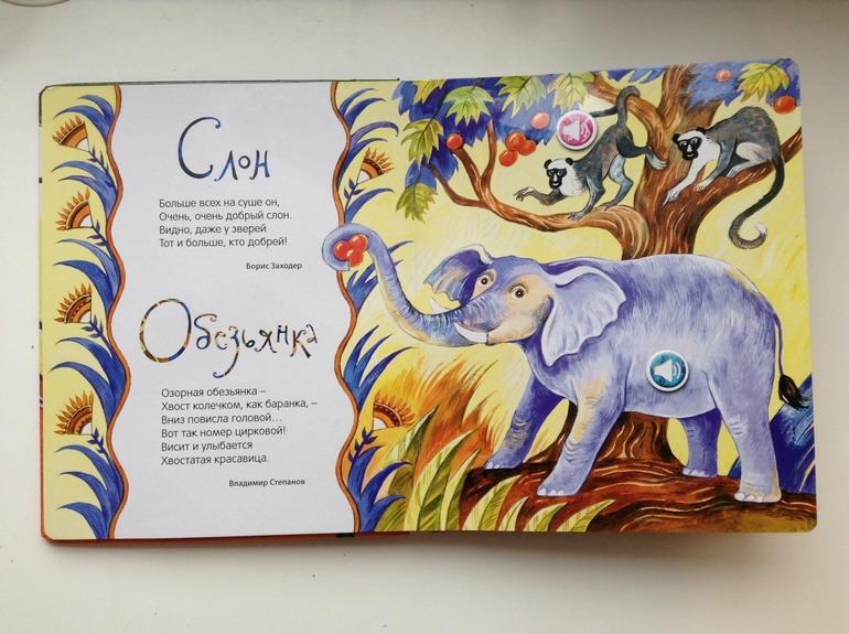 Любимая книга -