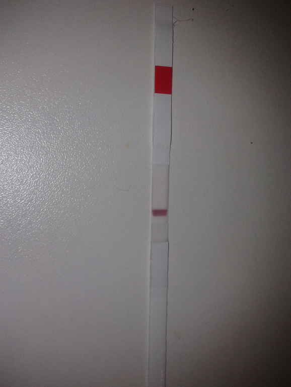 Девочки, очень интересно ваше мнение!