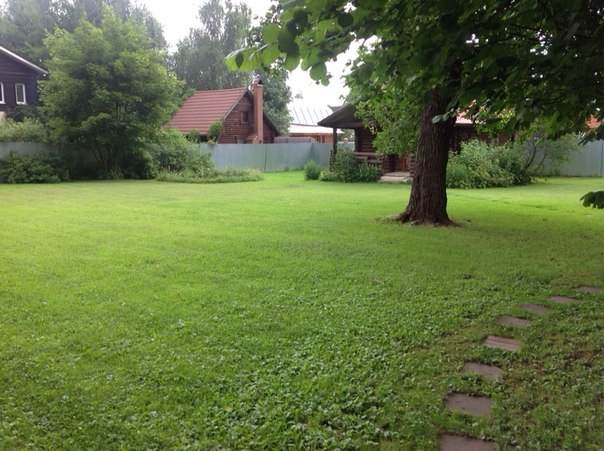 Продается шикарный дом! 450 кВ м. )