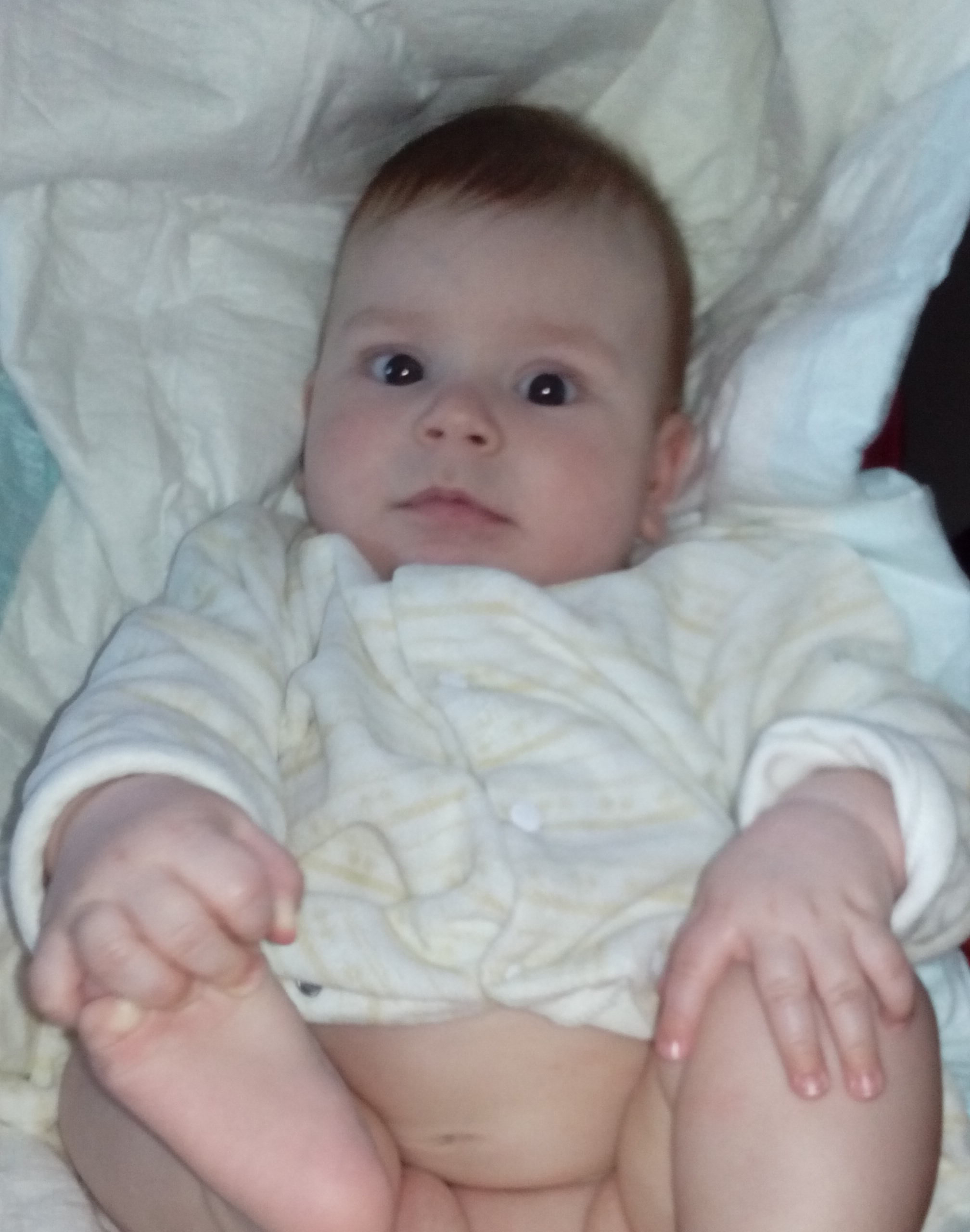 Вот мы и преодолели поездку в 1300 км.с пупсом ^^