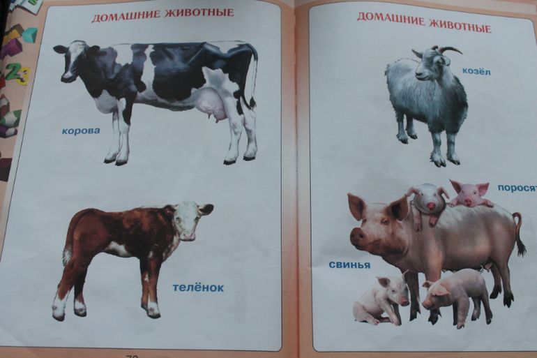 Первая книга малыша.