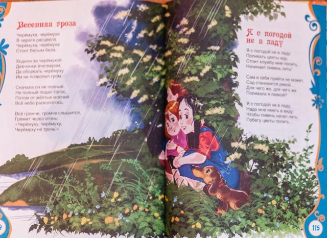 Убиться томиком Барто