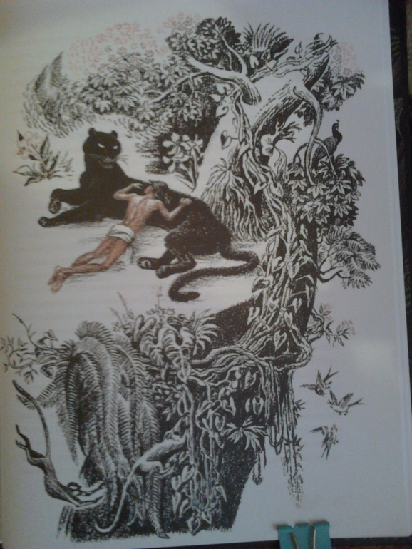 Мое богатство