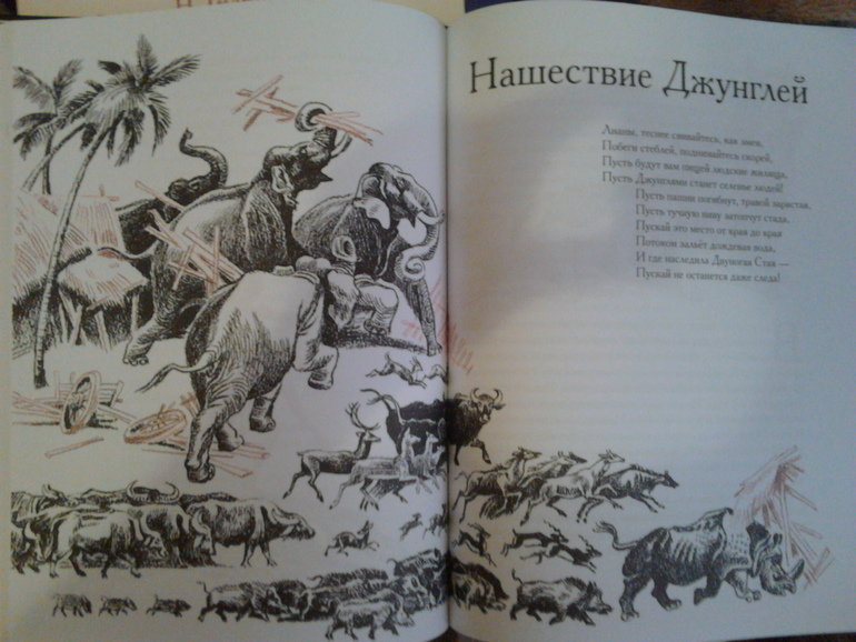 Мое богатство