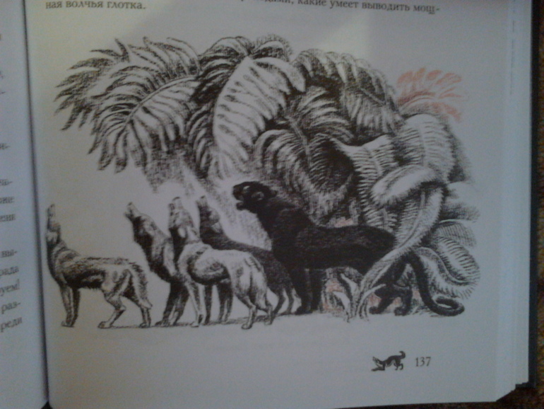 Мое богатство