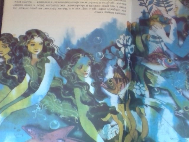 Мое пополнение