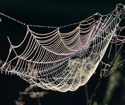 Снежинка-паутинка