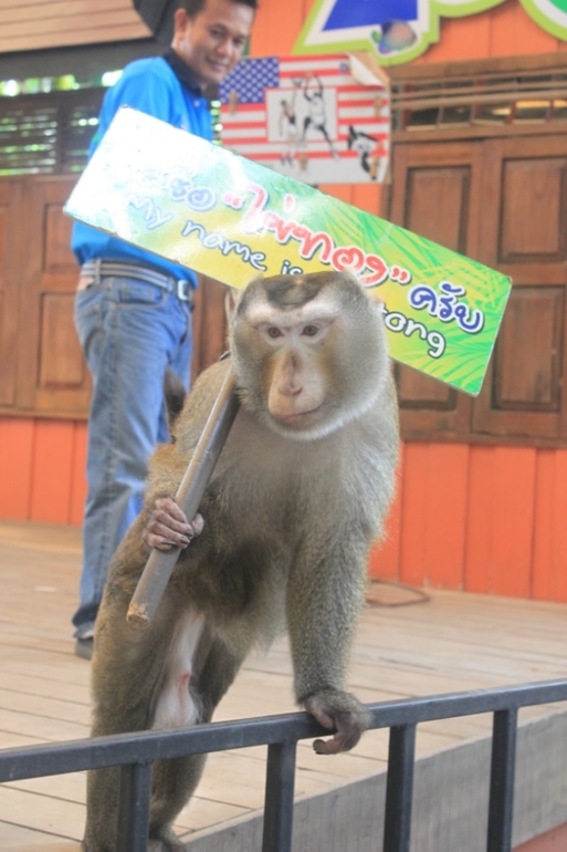Zoo