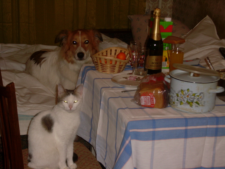 наши девочки